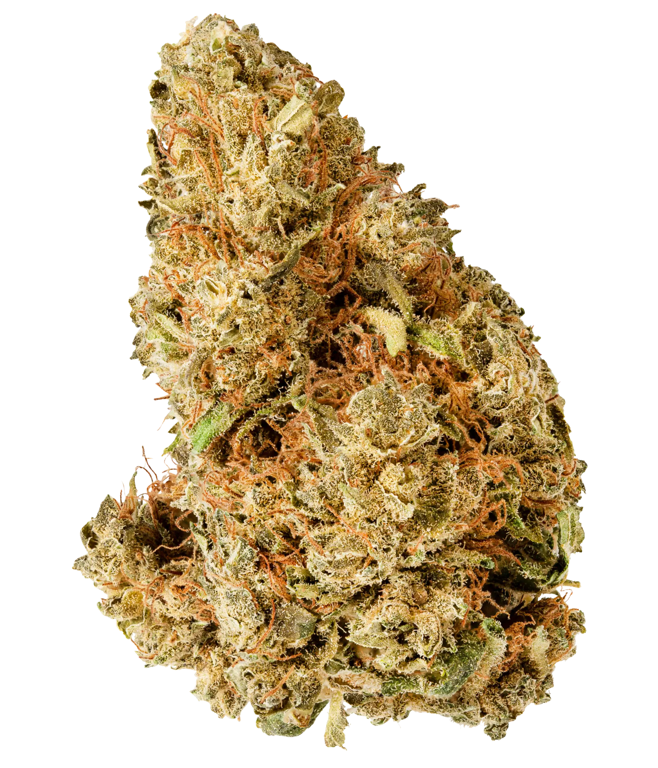 リニューアル濃度up⭐︎CRDP 1ml Bubba Kush BUBBA-KUSH-MEDICAL-TERPENES-